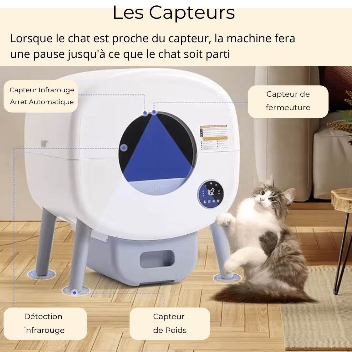 Litière Autonettoyante – Grande Capacité